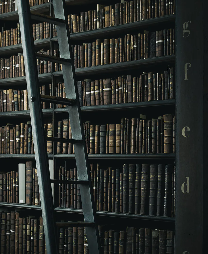 A welcoming reading space with a curated collection